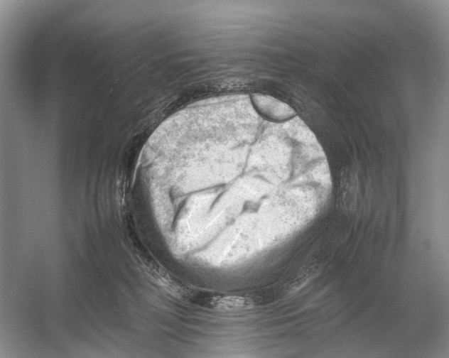 X0000053150230200508081419