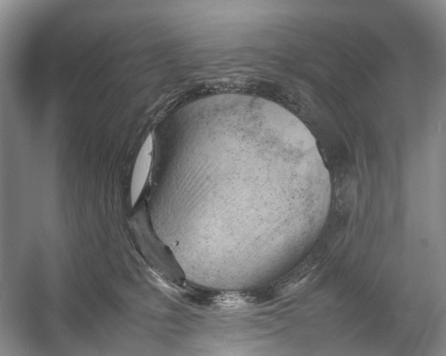 X0000053150231200508081419