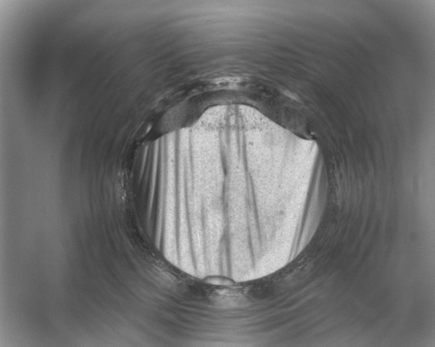 X0000053150232200508081419