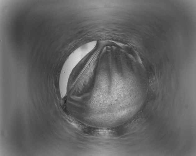 X0000053150233200508081419