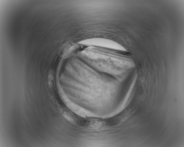 X0000053150235200508081419