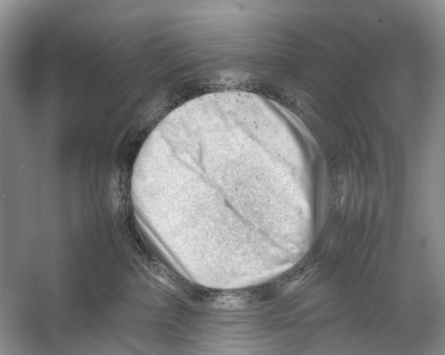 X0000053150236200508081419