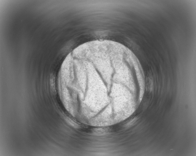 X0000053150238200508081419