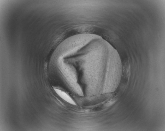 X0000053150239200508081418