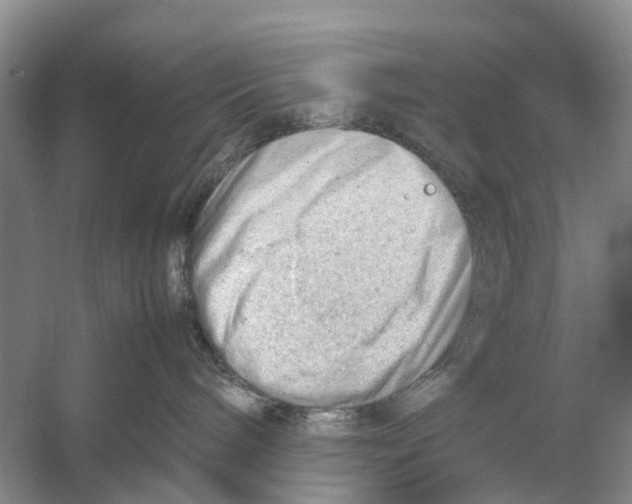 X0000053150240200508081418