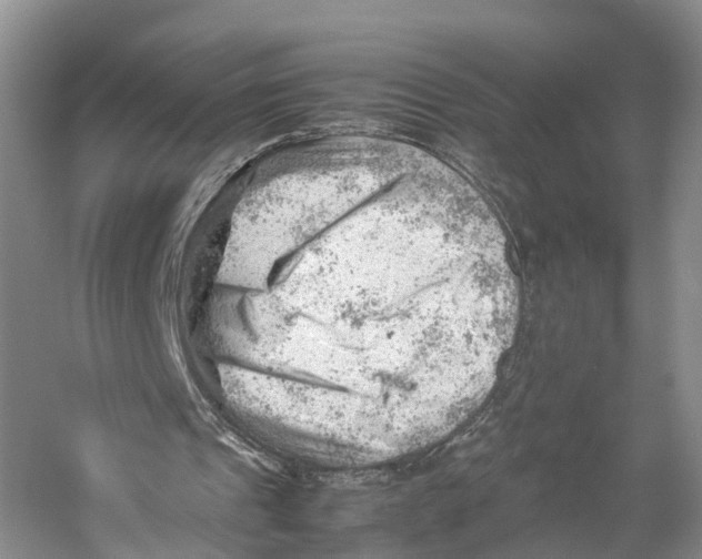 X0000053150241200508081418