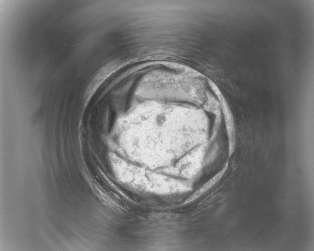 X0000053150242200508081418