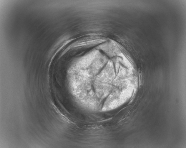 X0000053150243200508081418