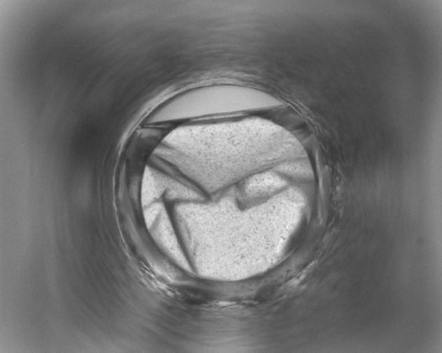 X0000053150244200508081418