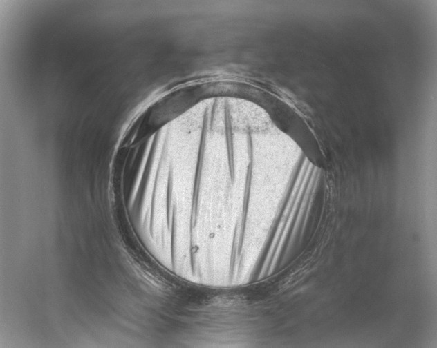 X0000053150248200508081418