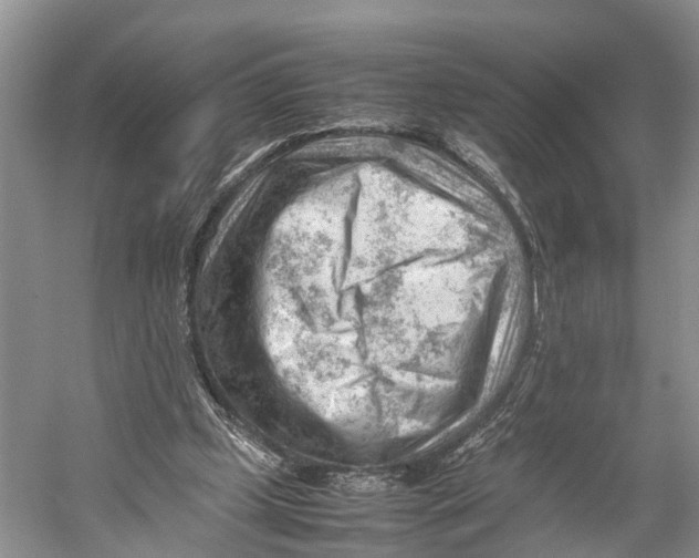 X0000053150249200508081418