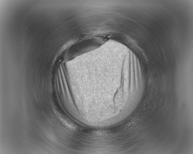 X0000053150250200508081418