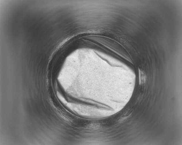 X0000053150252200508081418