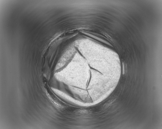 X0000053150253200508081418