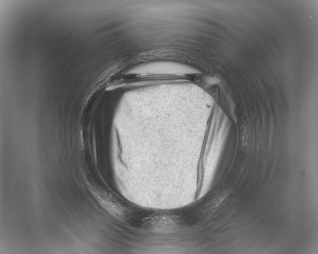 X0000053150254200508081418