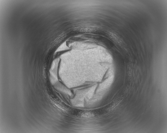 X0000053150258200508081418