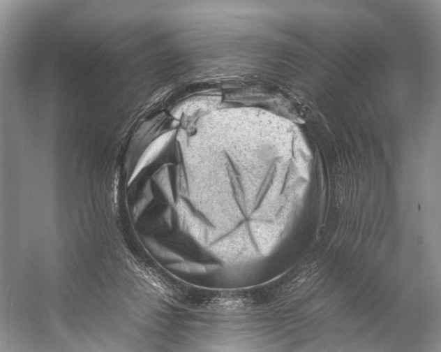 X0000053150260200508081418