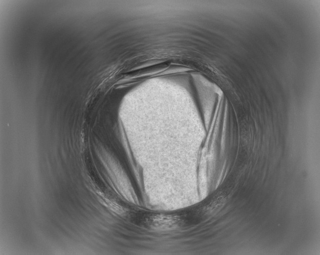 X0000053150261200508081418