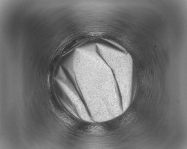 X0000053150262200508081418