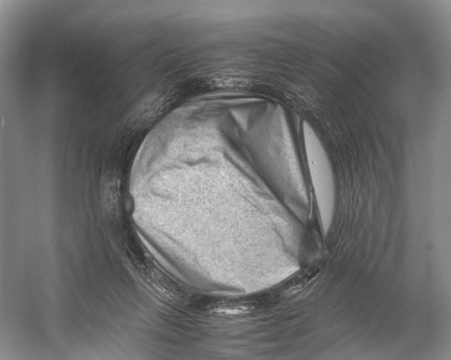 X0000053150263200508081418