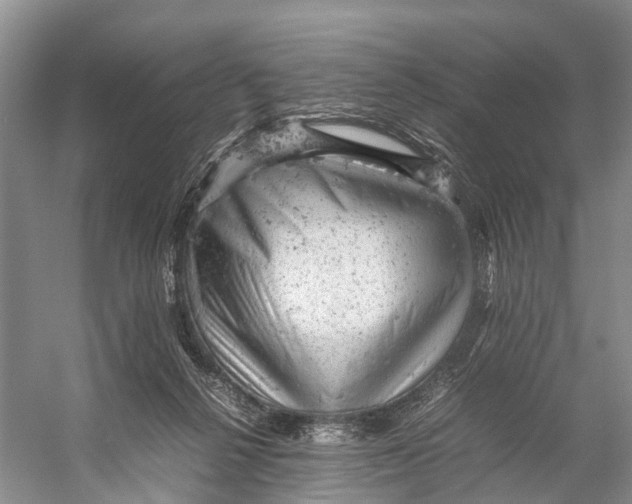 X0000053150264200508081418