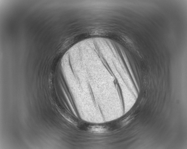 X0000053150265200508081418