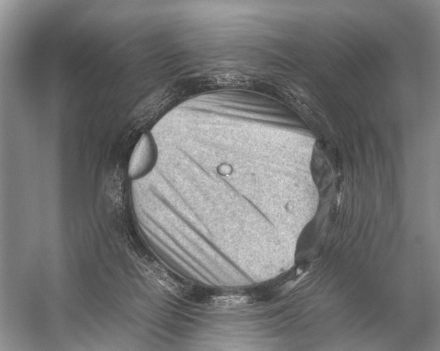 X0000053150266200508081418