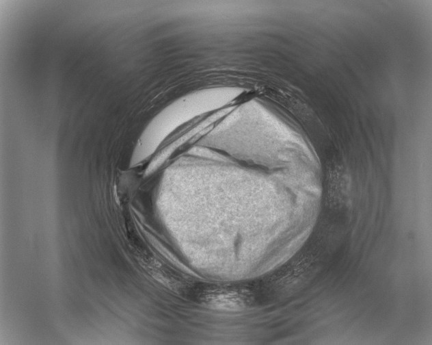 X0000053150267200508081418