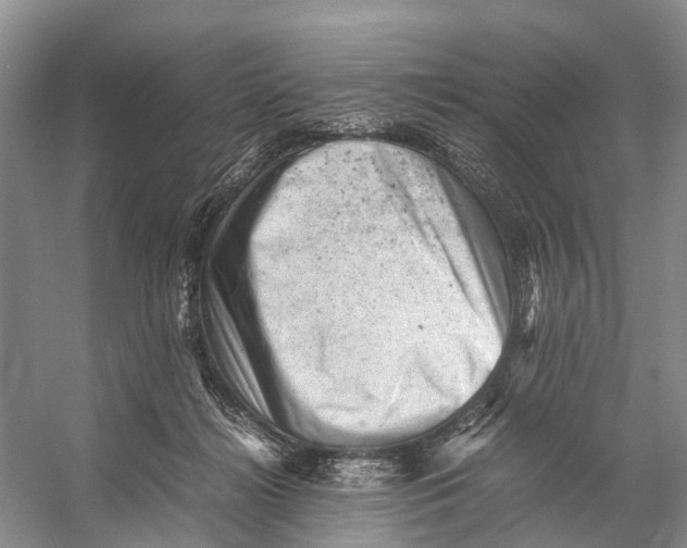 X0000053150268200508081418