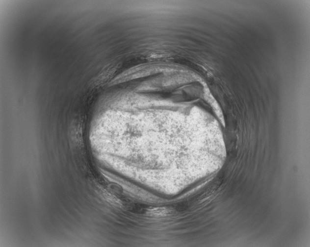 X0000053150269200508081418