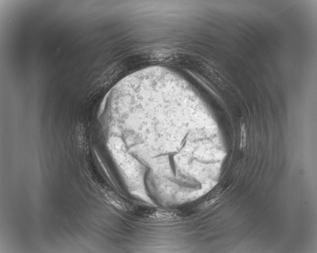 X0000053150270200508081418