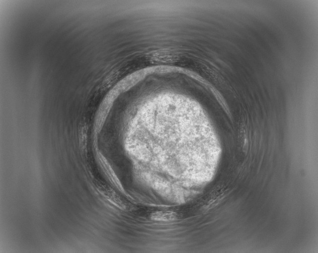 X0000053150271200508081418