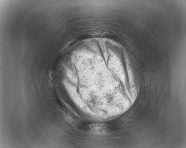 X0000053150273200508081418