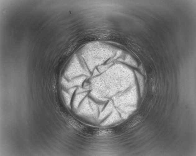 X0000053150274200508081418