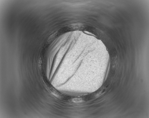 X0000053150279200508081418