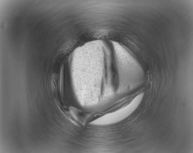 X0000053150280200508081418