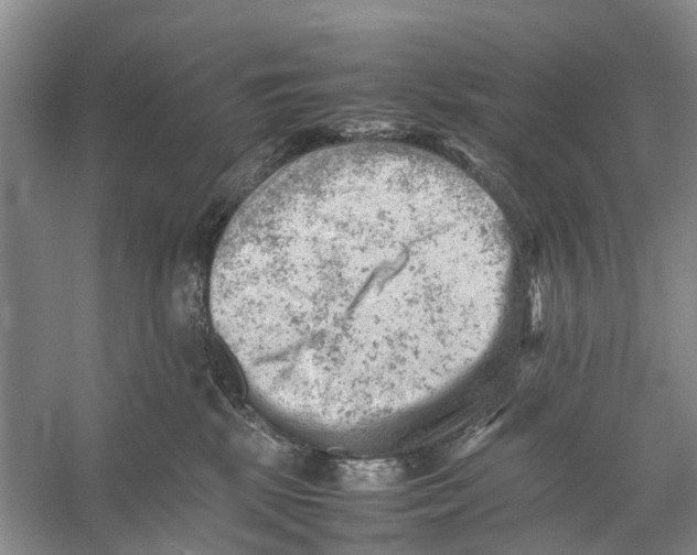 X0000053150281200508081418