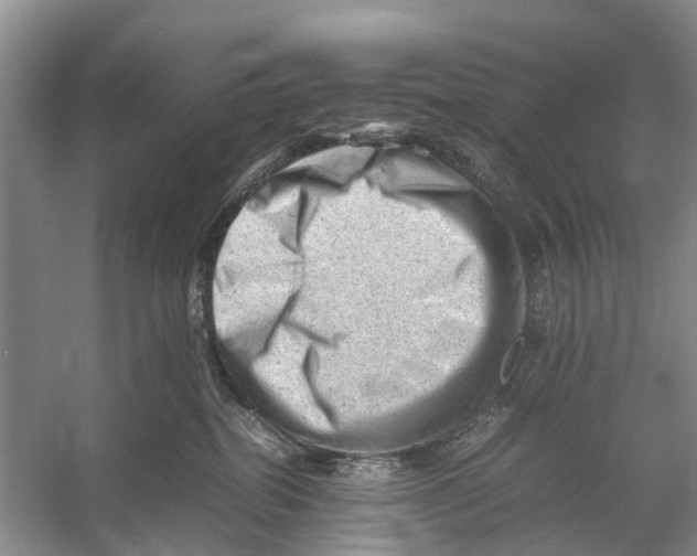 X0000053150282200508081418