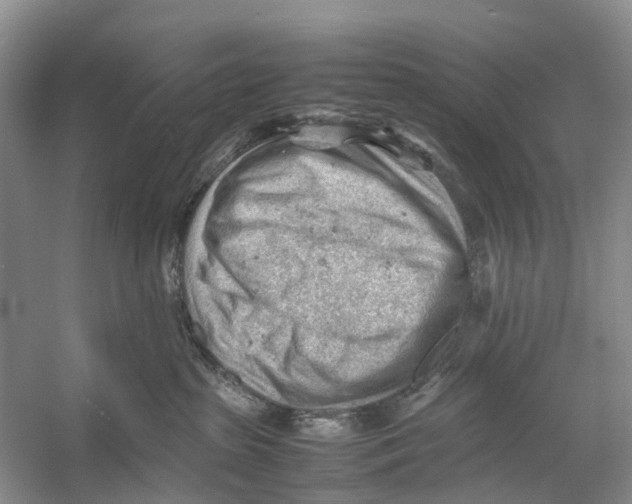 X0000053150285200508081418