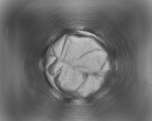 X0000053150286200508081418