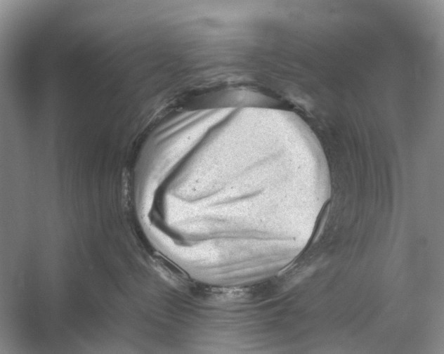 X0000053150288200508081418