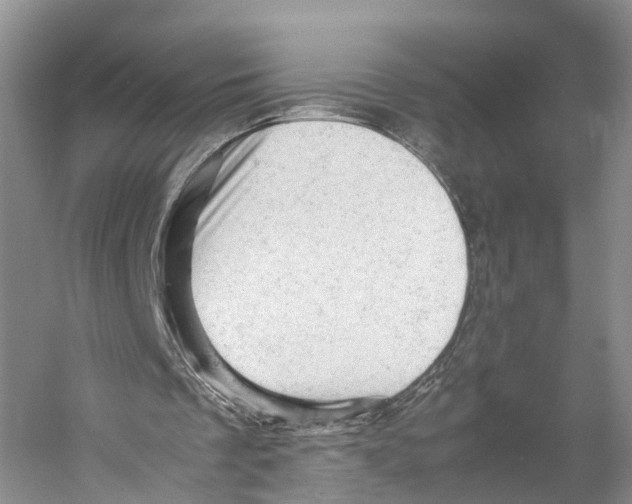 X0000053150289200508081418