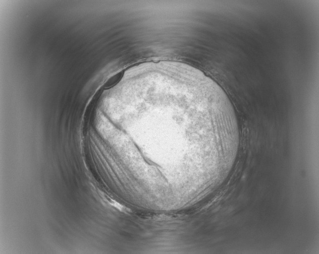 X0000053150290200508081418