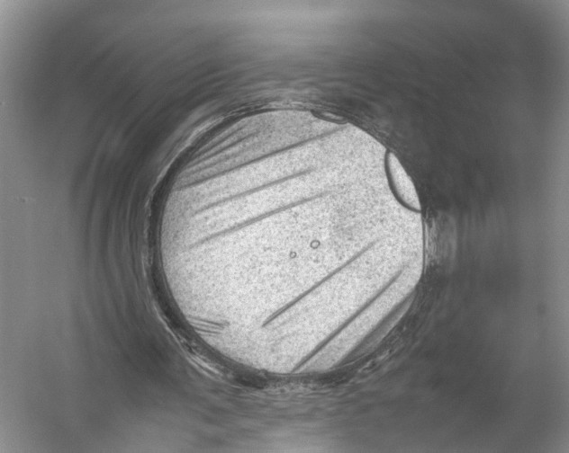 X0000053150291200508081418