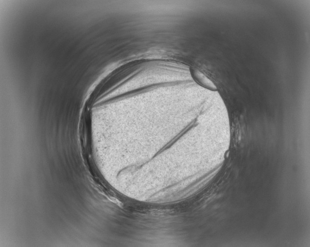 X0000053150292200508081418