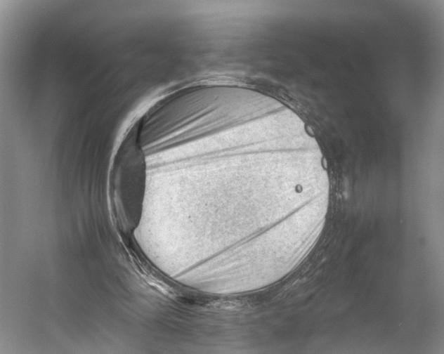 X0000053150294200508081418