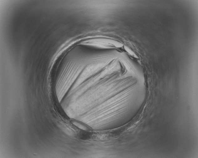 X0000053150295200508081418