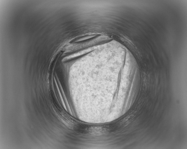 X0000053150298200508081417