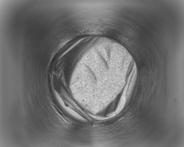 X0000053150299200508081417