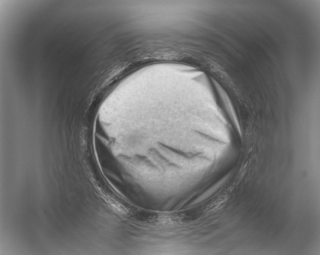 X0000053150305200508081417